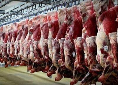 افزایش فروشگاه های توزیع گوشت کشتارگاه در تبریز