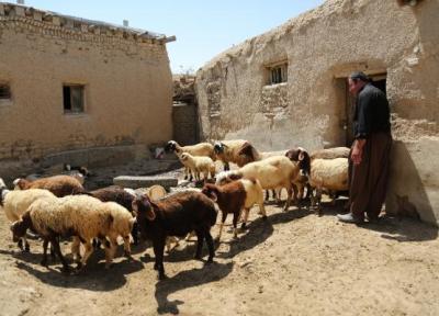 بازگشت با برکت 6250 خانواده به روستا