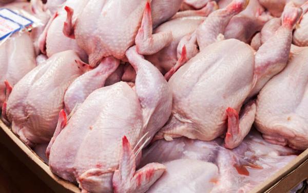 اتحادیه مرغداران: مرغ زنده باید با نرخ نیمایی در بازار عرضه گردد