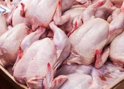 اتحادیه مرغداران: مرغ زنده باید با نرخ نیمایی در بازار عرضه گردد
