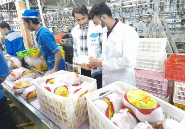 وزارت جهاد کشاورزی: فروش مرغ بالاتر از 63 هزار تومان تخلف است